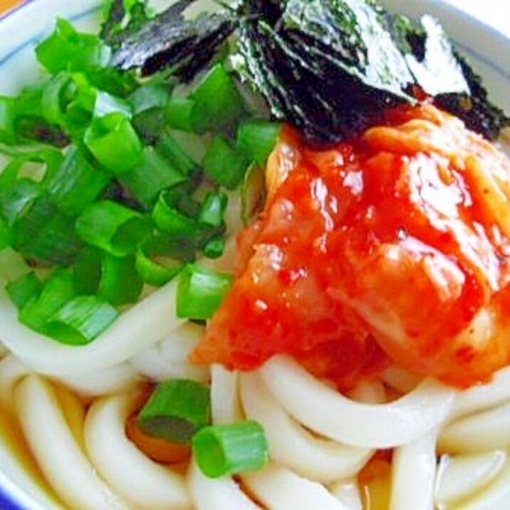 キムチと小ねぎと海苔のぶっかけうどん